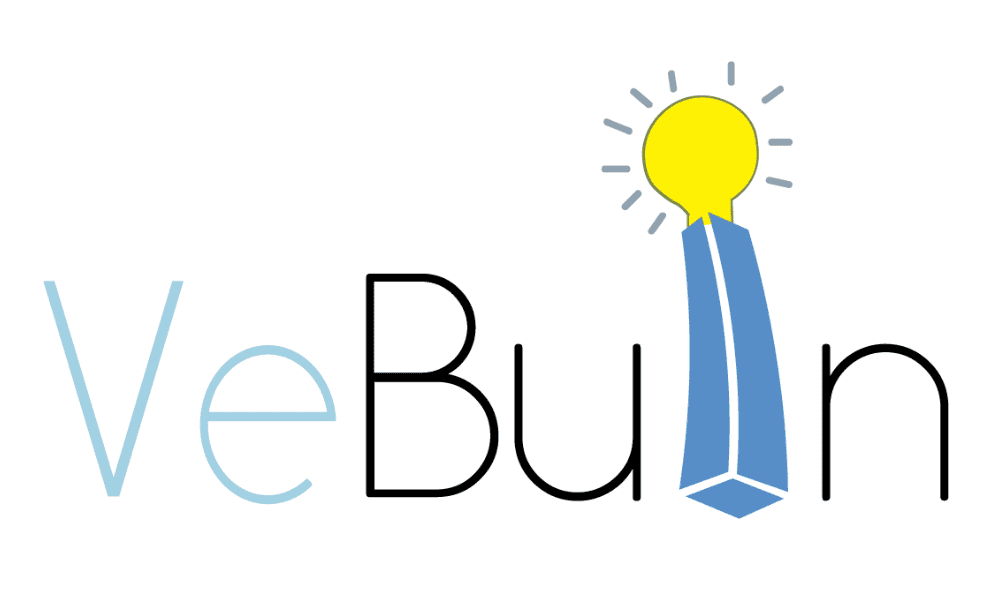 VeBuIn Logo
